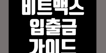 비트맥스(BitMEX) 입출금 방법 입금 및 출금 정리