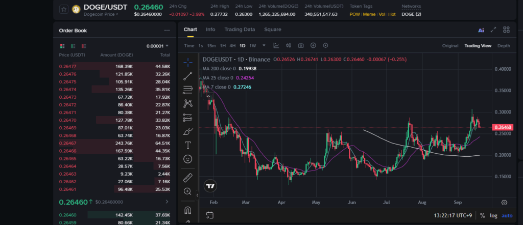 도지코인 시세 전망 2025 DOGE 목표가 가격 예측