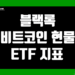 블랙록 비트코인 현물 ETF (IBIT) 지표 및 데이터