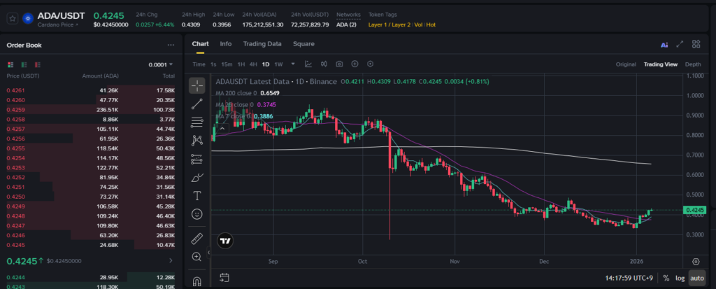 에이다(ADA) 코인 시세 전망 안오르는 이유
