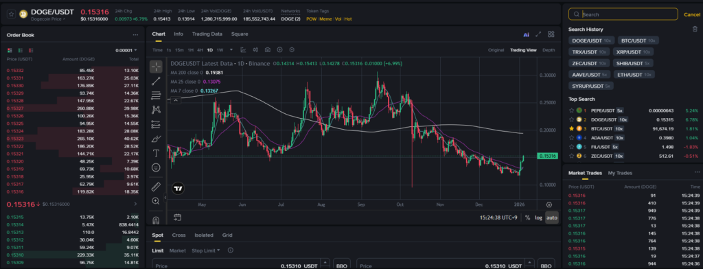 도지코인(DOGE) 일론머스크 관계 및 보유량